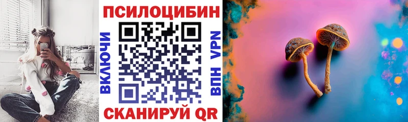 Купить где  Новочеркасск  Галлюциногенные грибы прущие грибы 